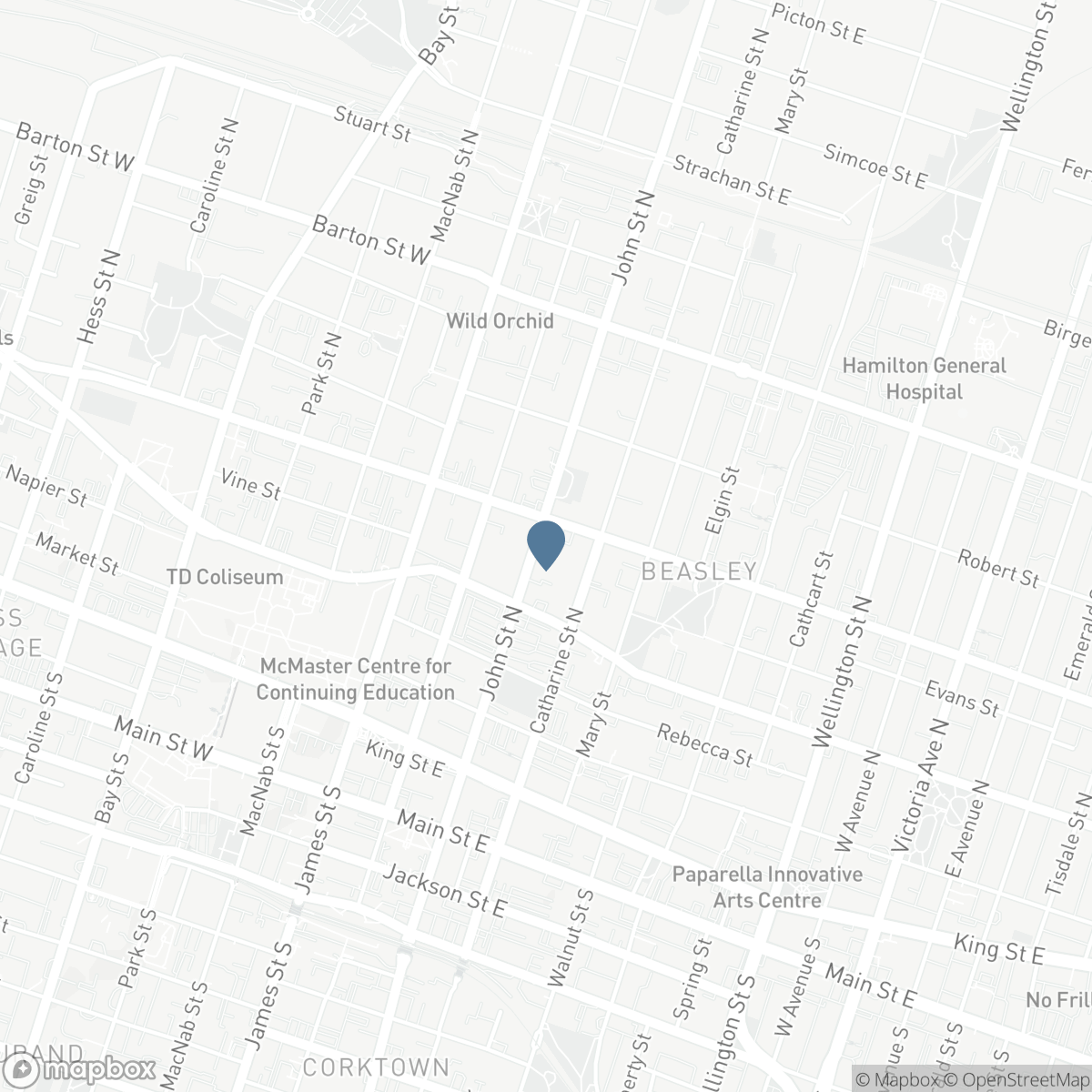 128 JOHN Street N, Hamilton, Ontario L8R 1H6